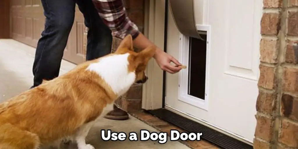 Use a Dog Door
