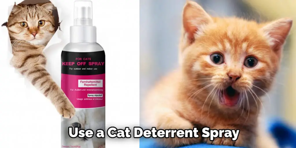 Use a Cat Deterrent Spray