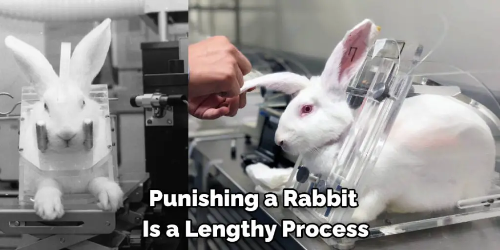 Punishing a Rabbit  Is a Lengthy Process