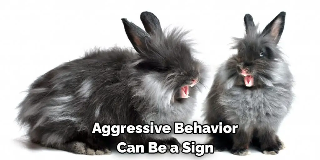 Aggressive Behavior  Can Be a Sign