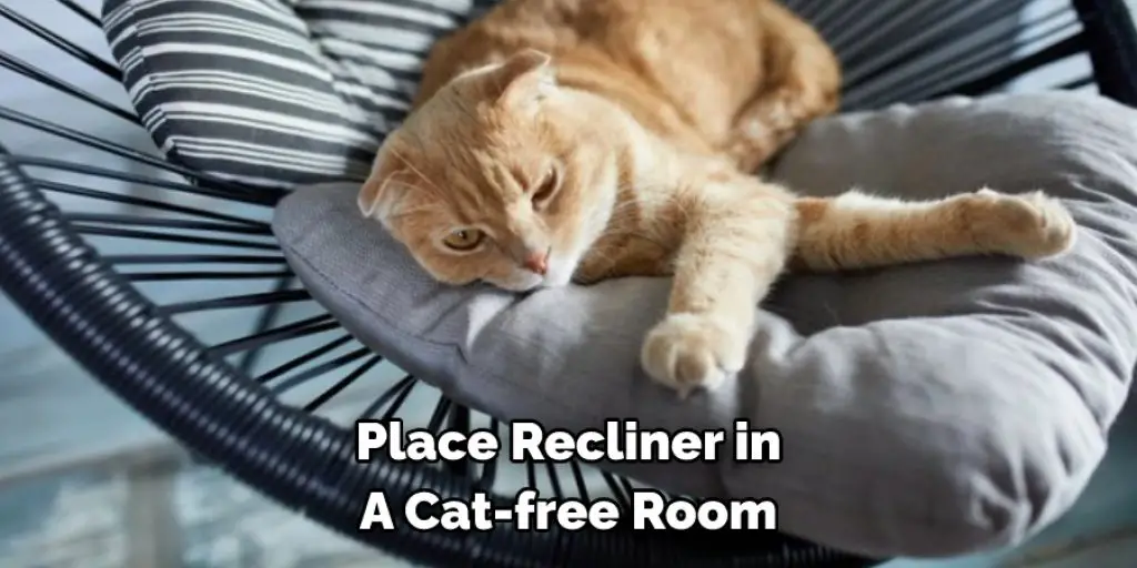 Place Recliner in A Cat-free Room