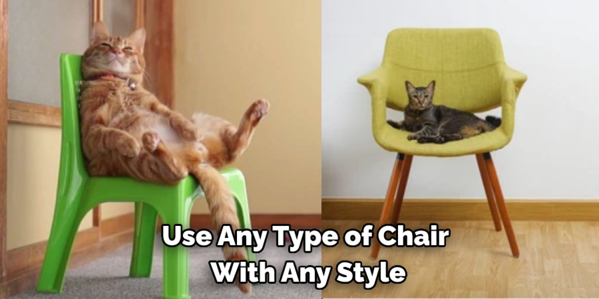 How to Make a Recliner Cat Safe Pro Tips