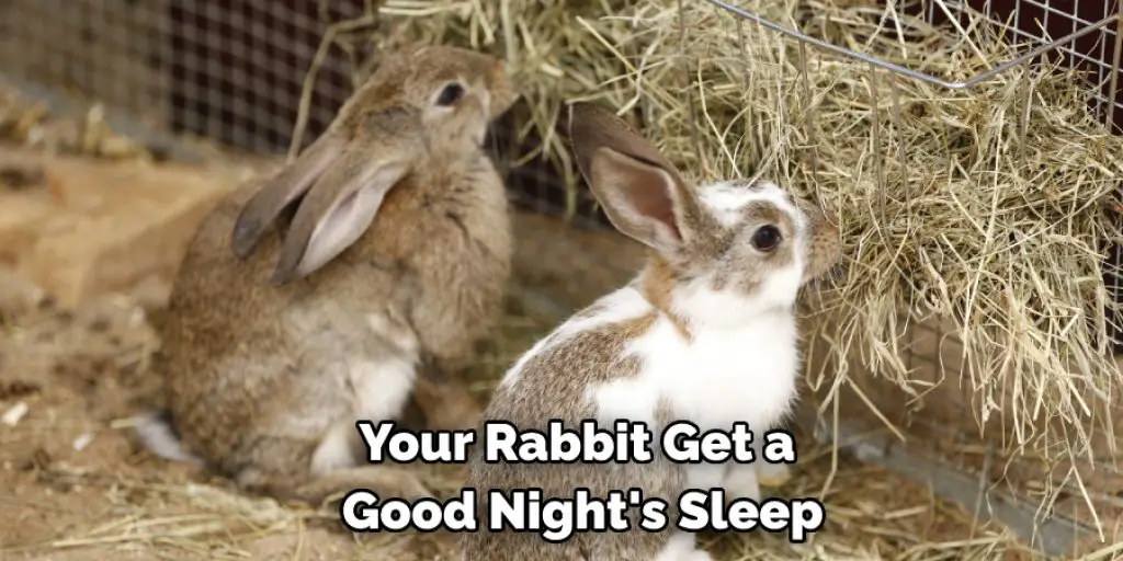 Your Rabbit Get a  Good Night's Sleep