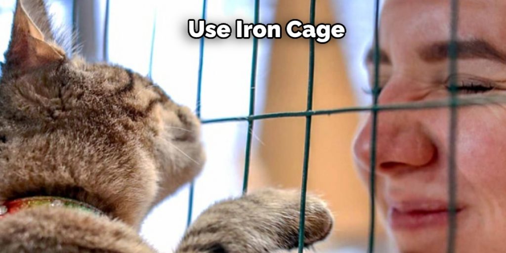 Use Iron Cage