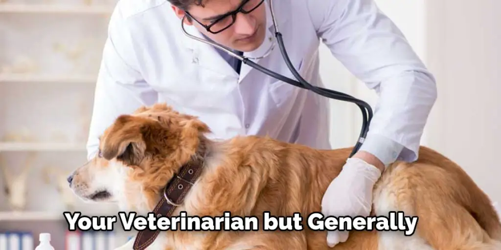 Your Veterinarian but Generally