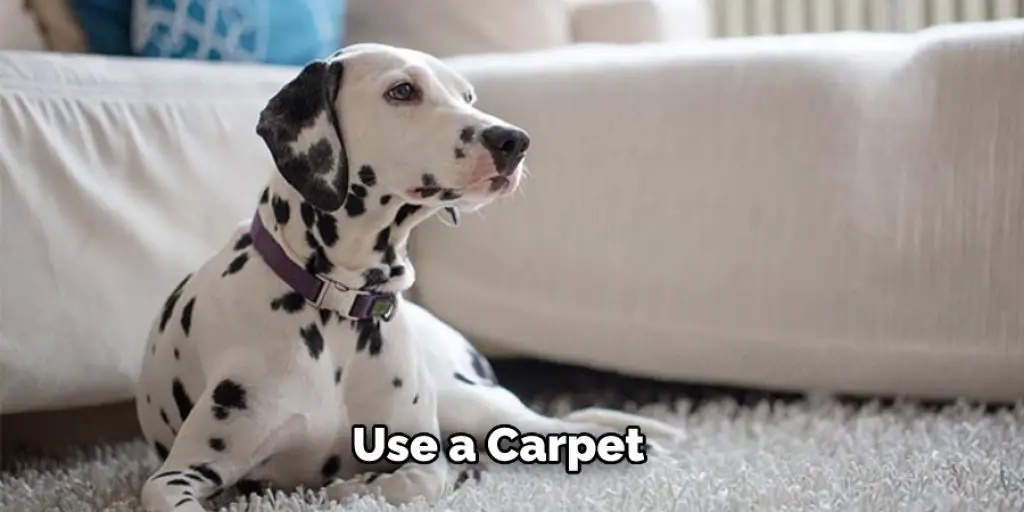 use a carpet