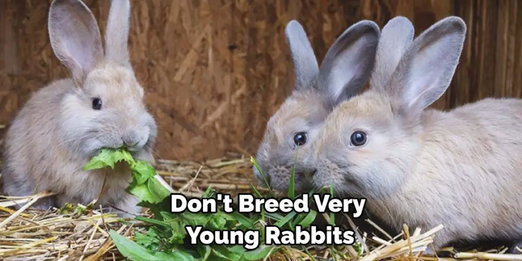 Don't Breed Very  Young Rabbits