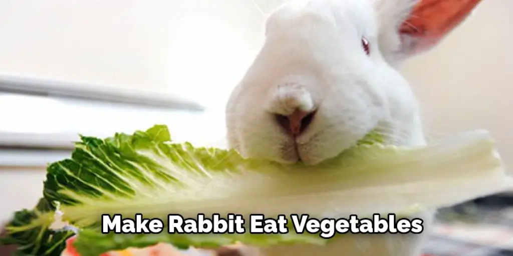Make Rabbit Eat Vegetables