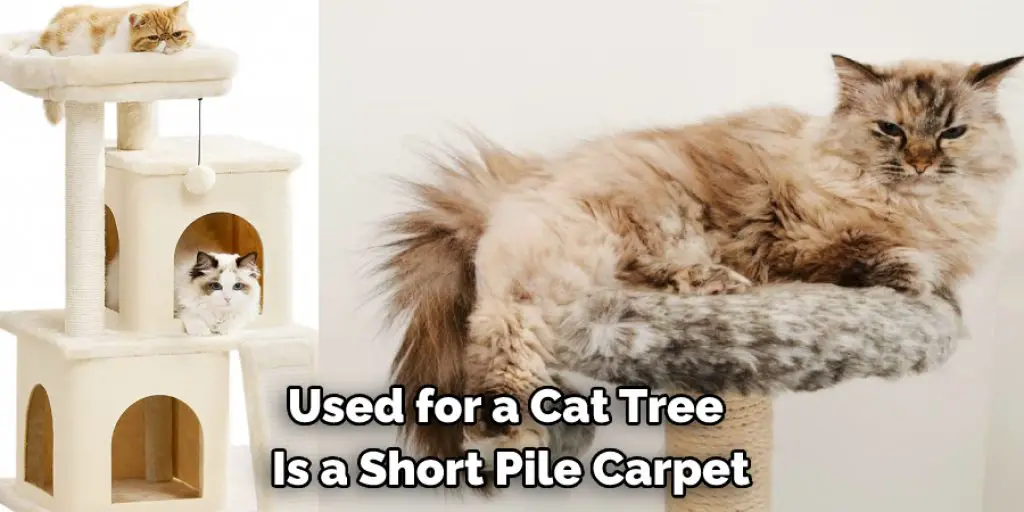 Used for a Cat Tree  Is a Short Pile Carpet