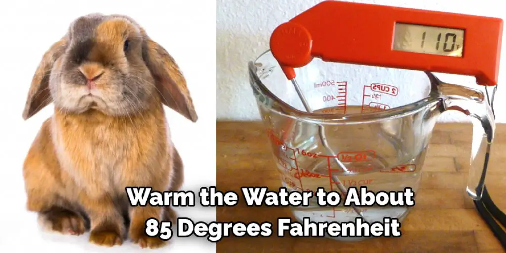 Warm the Water to About  85 Degrees Fahrenheit