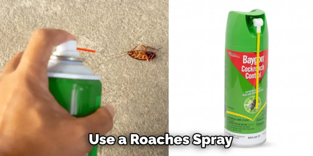 Use a Roaches Spray