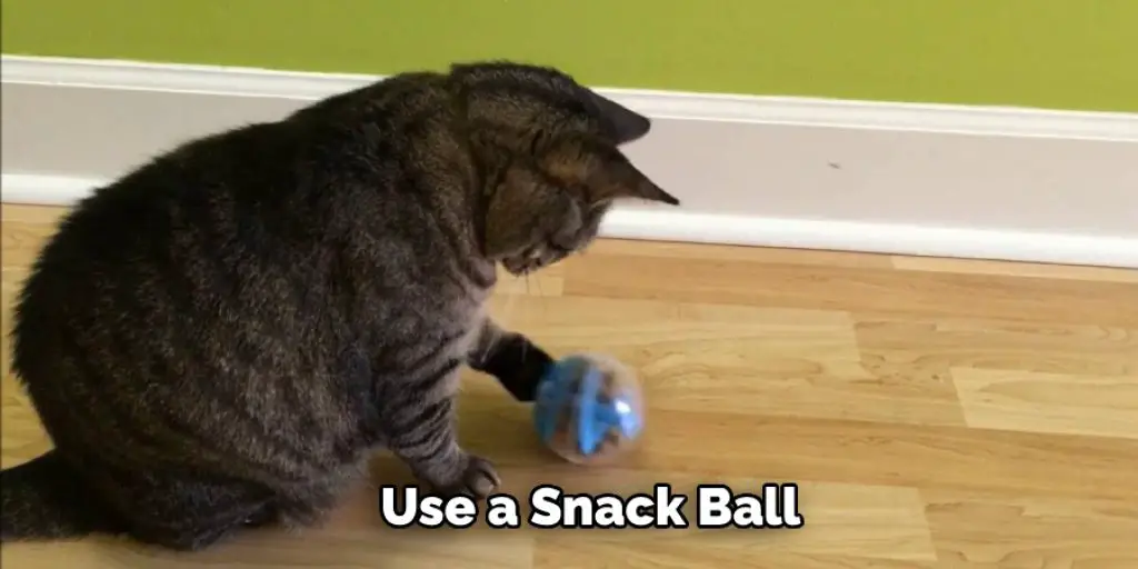 Use a Snack Ball