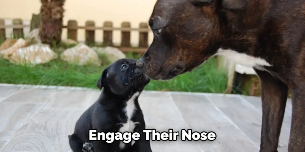 Engage Their Nose