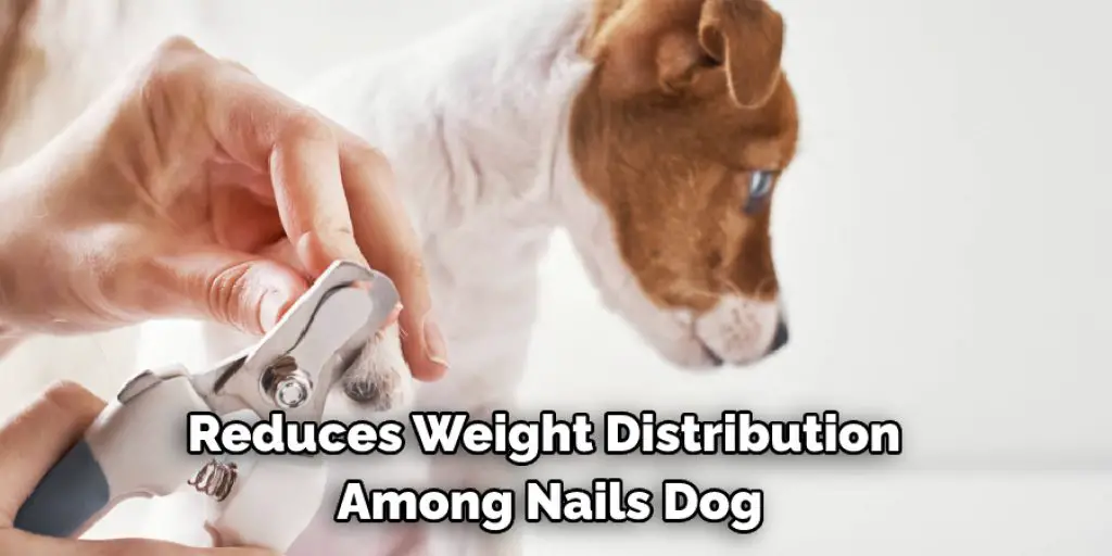 Reduces Weight Distribution  Among Nails Dog