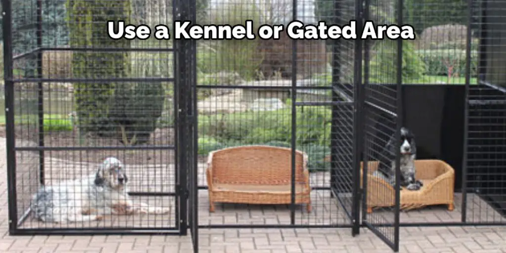 Use a Kennel or Gated Area