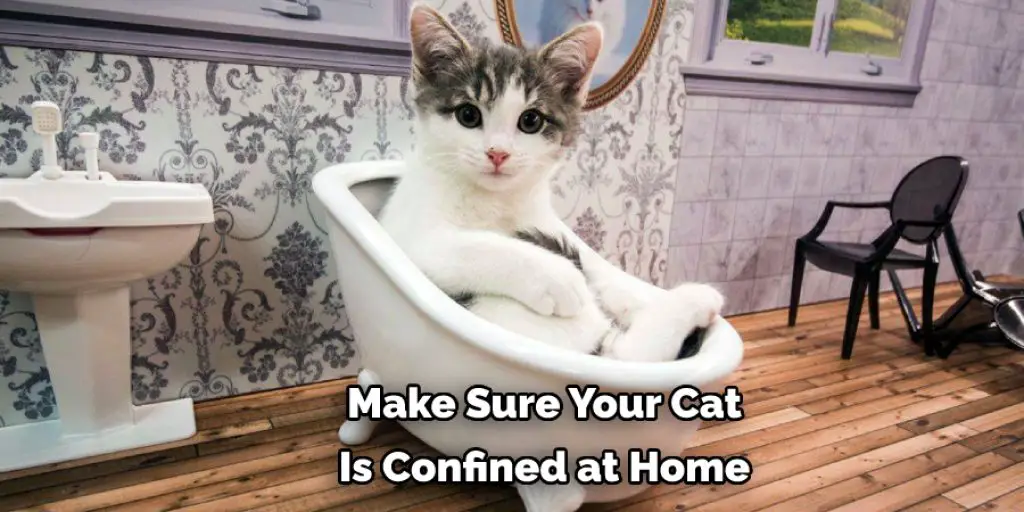  Make Sure Your Cat  Is Confined at Home