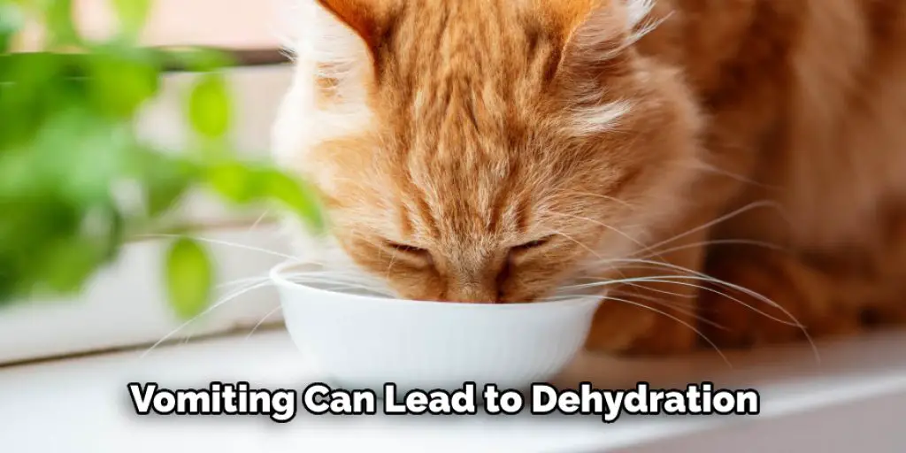 Vomiting Can Lead to Dehydration