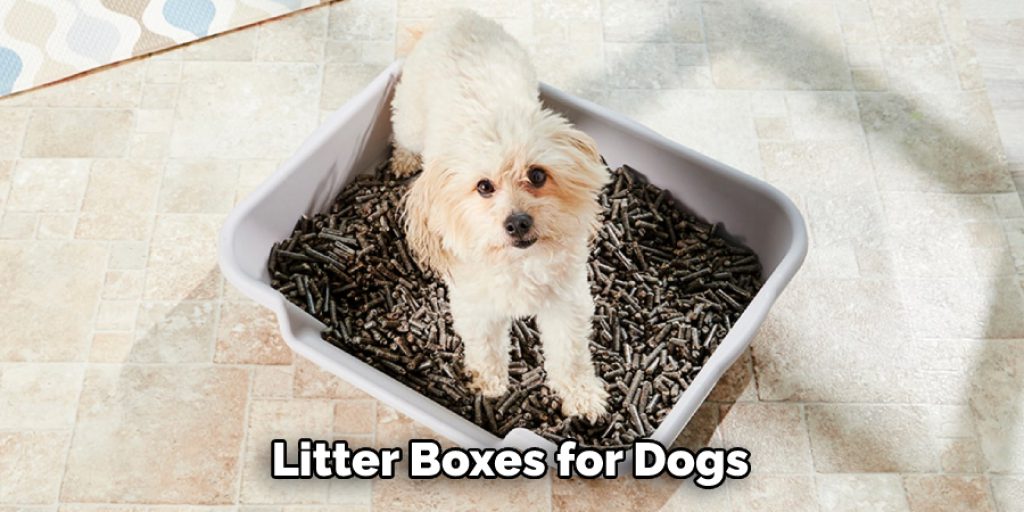 Litter Boxes for Dogs