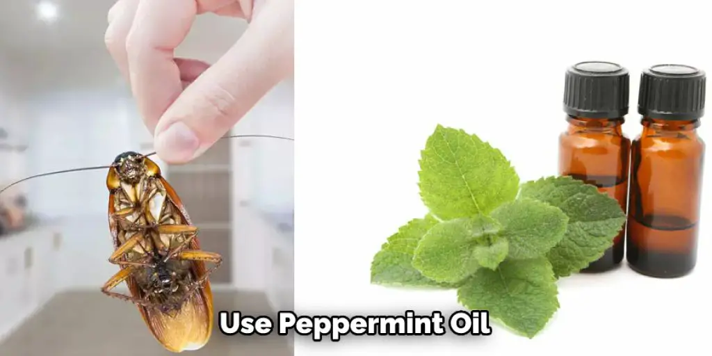  Use Peppermint Oil 