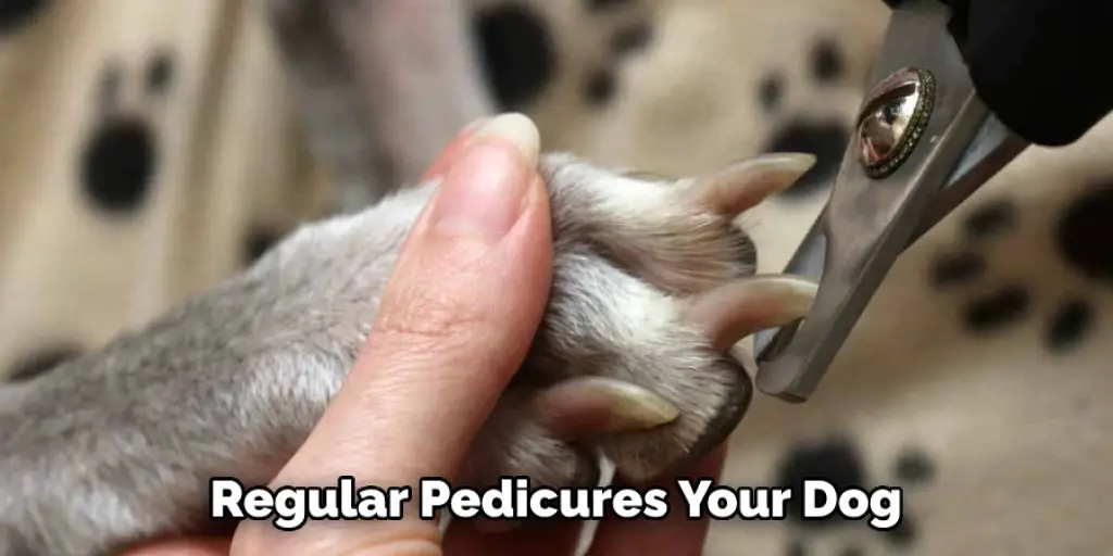  Regular Pedicures Your Dog