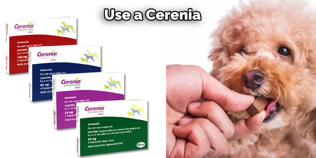 Use a Cerenia 