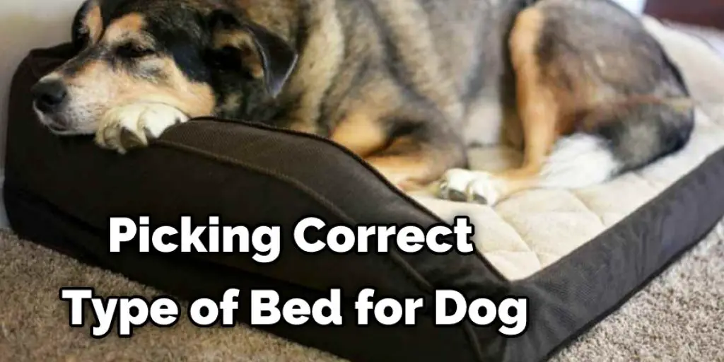 Picking Correct Type of Bed for Dog