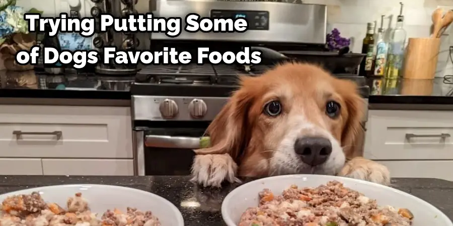 Trying Putting Some of Dogs Favorite Foods