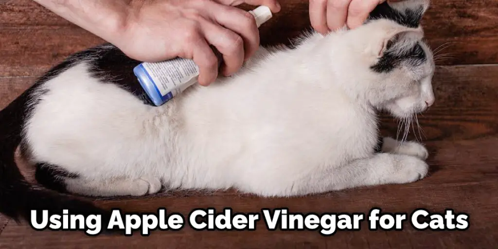 Using Apple Cider Vinegar for Cats