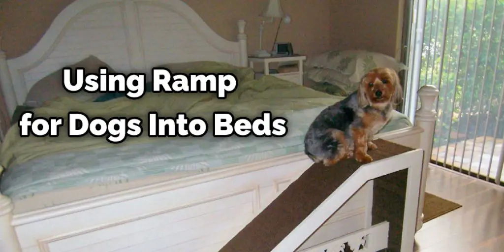Using Ramp for Dogs Into Beds