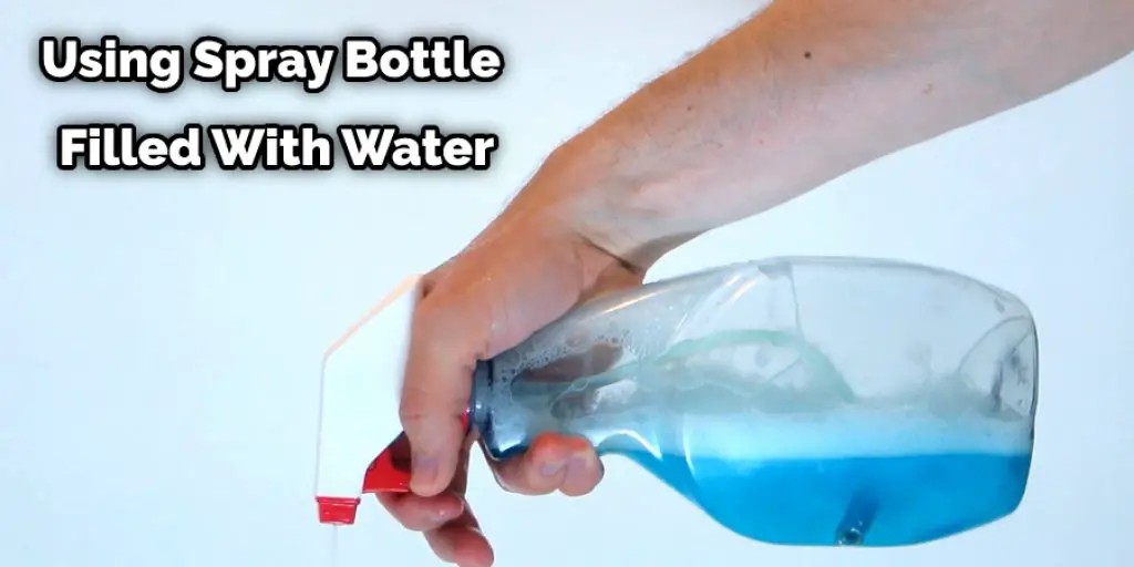 Using Spray Bottle Filled With Water