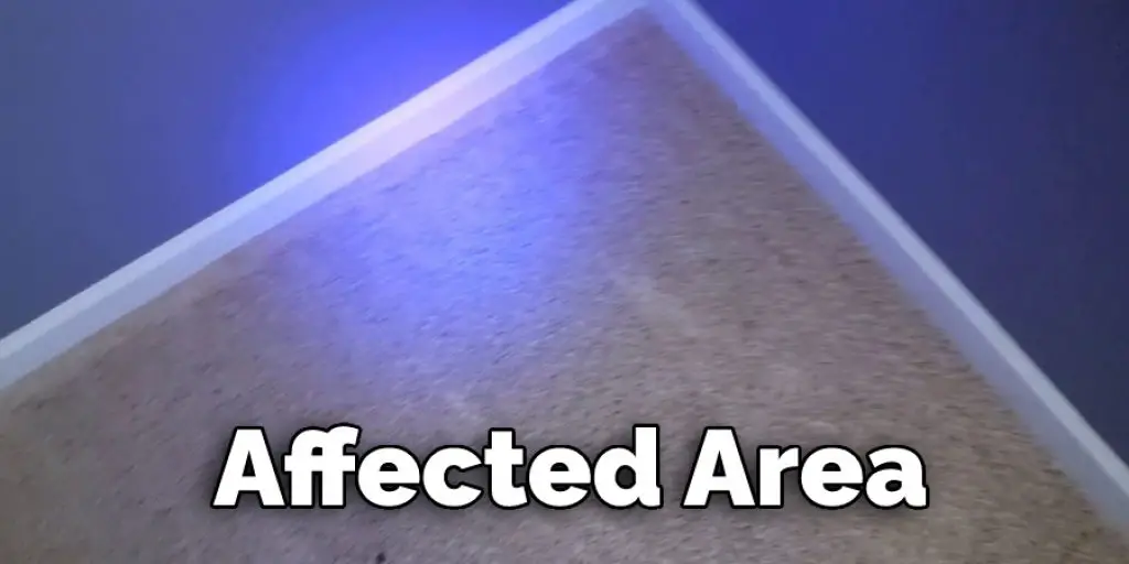 How to Clean Cat Urine to Pass a Black Light Test