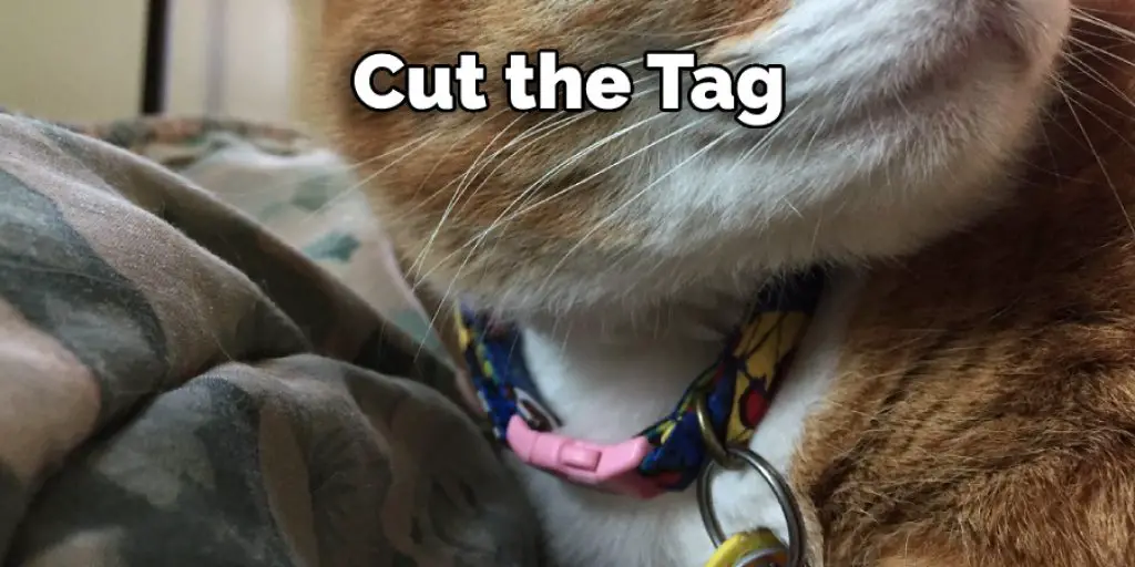 Cut the Tag 