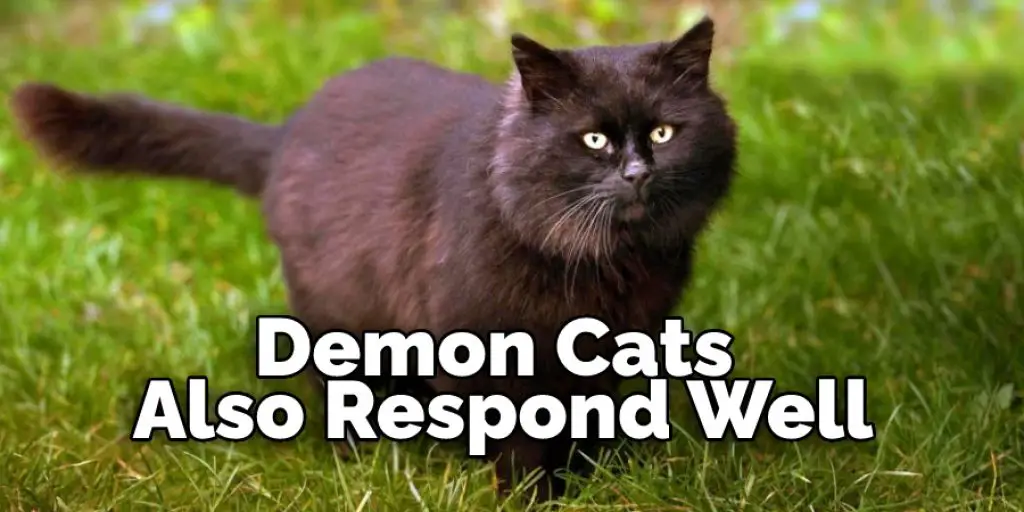 Demon Cats Also Respond Well