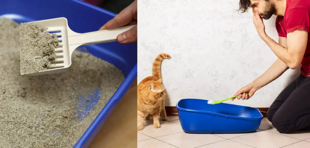 how to clean kitty litter from floor