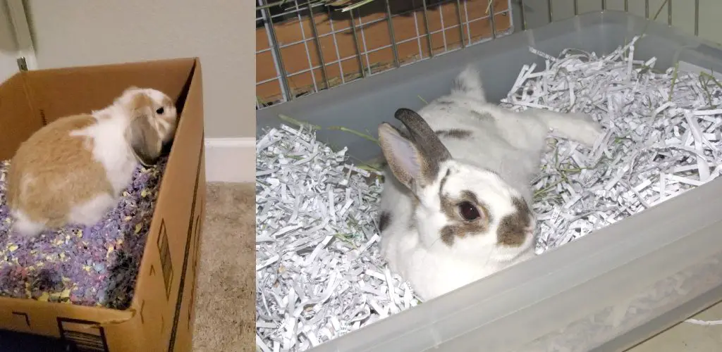 How to Make a Rabbit Dig Box