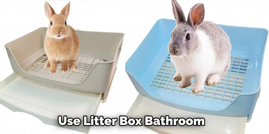  Use Litter Box Bathroom