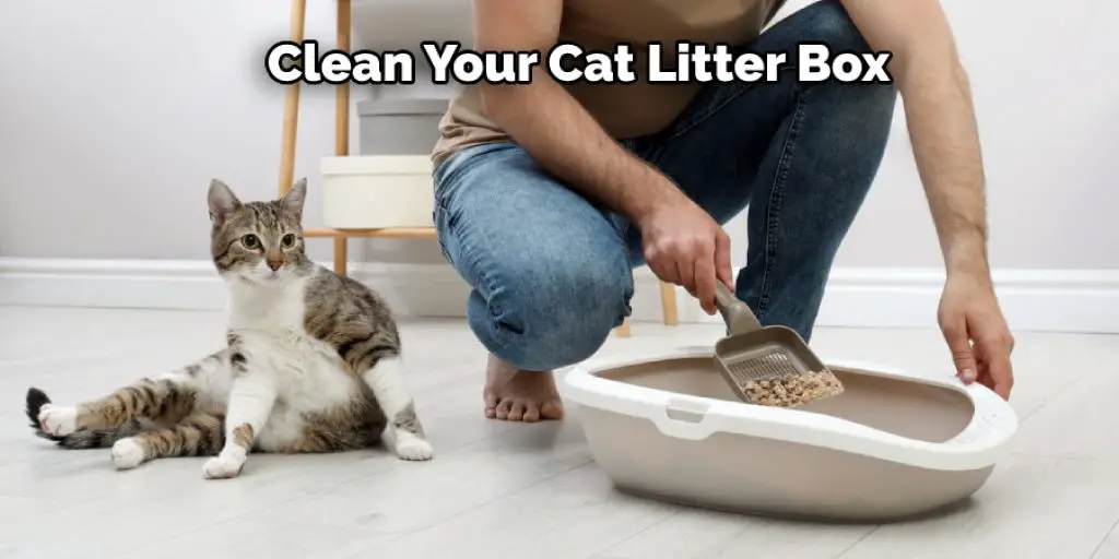 Clean Your Cat Litter Box 