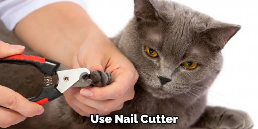  Use Nail Cutter