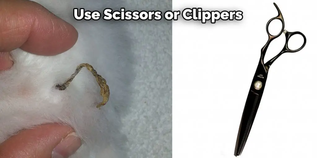  Use Scissors or Clippers 