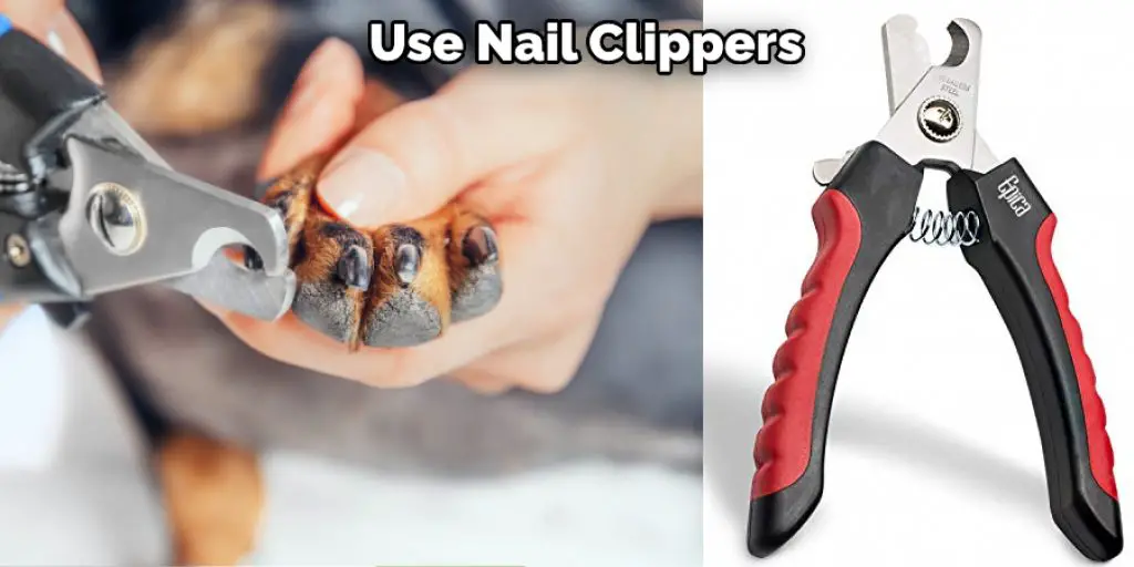 Use Nail Clippers