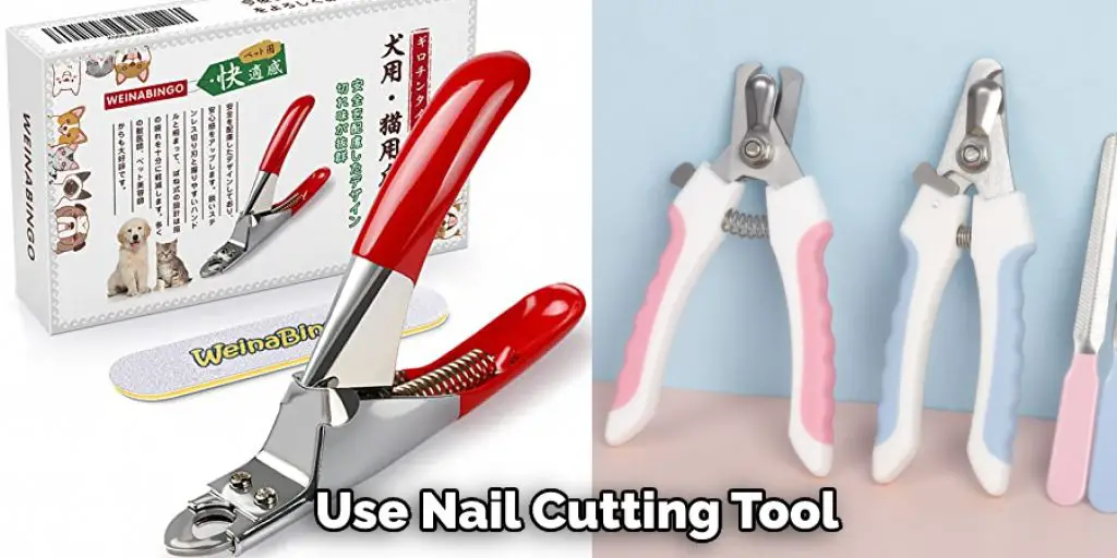 Use Nail Cutting Tool 