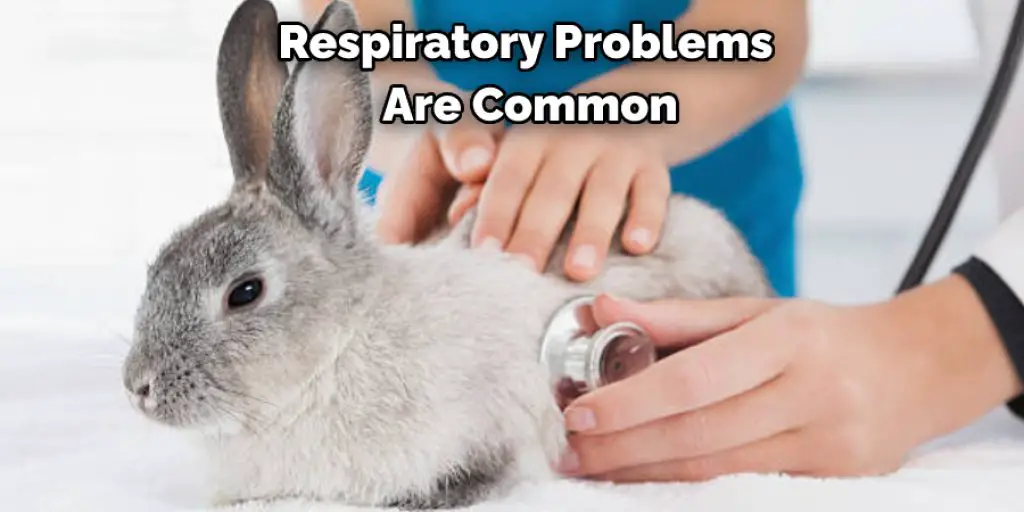 Respiratory Problems Are Common