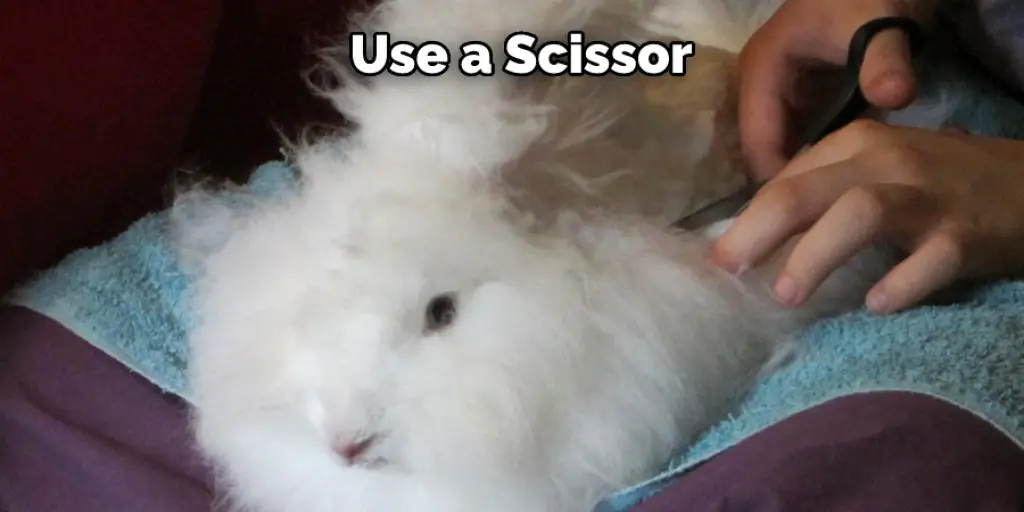 Use a Scissor