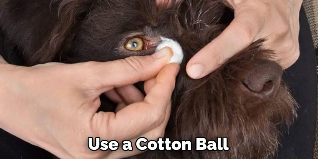 Use a Cotton Ball