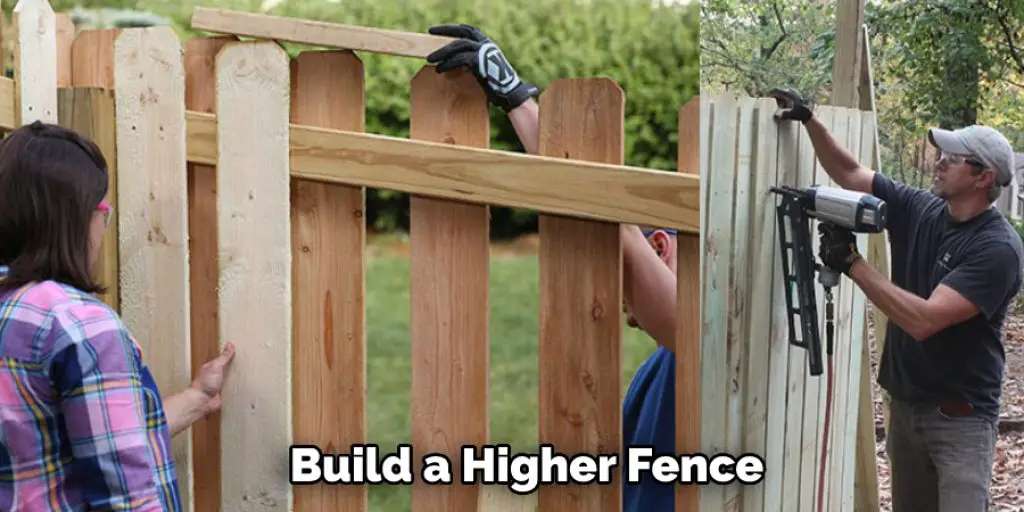Build a Higher Fence