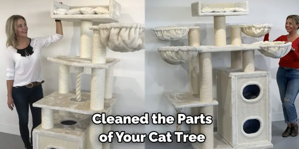 Cleaned the Parts of Your Cat Tree