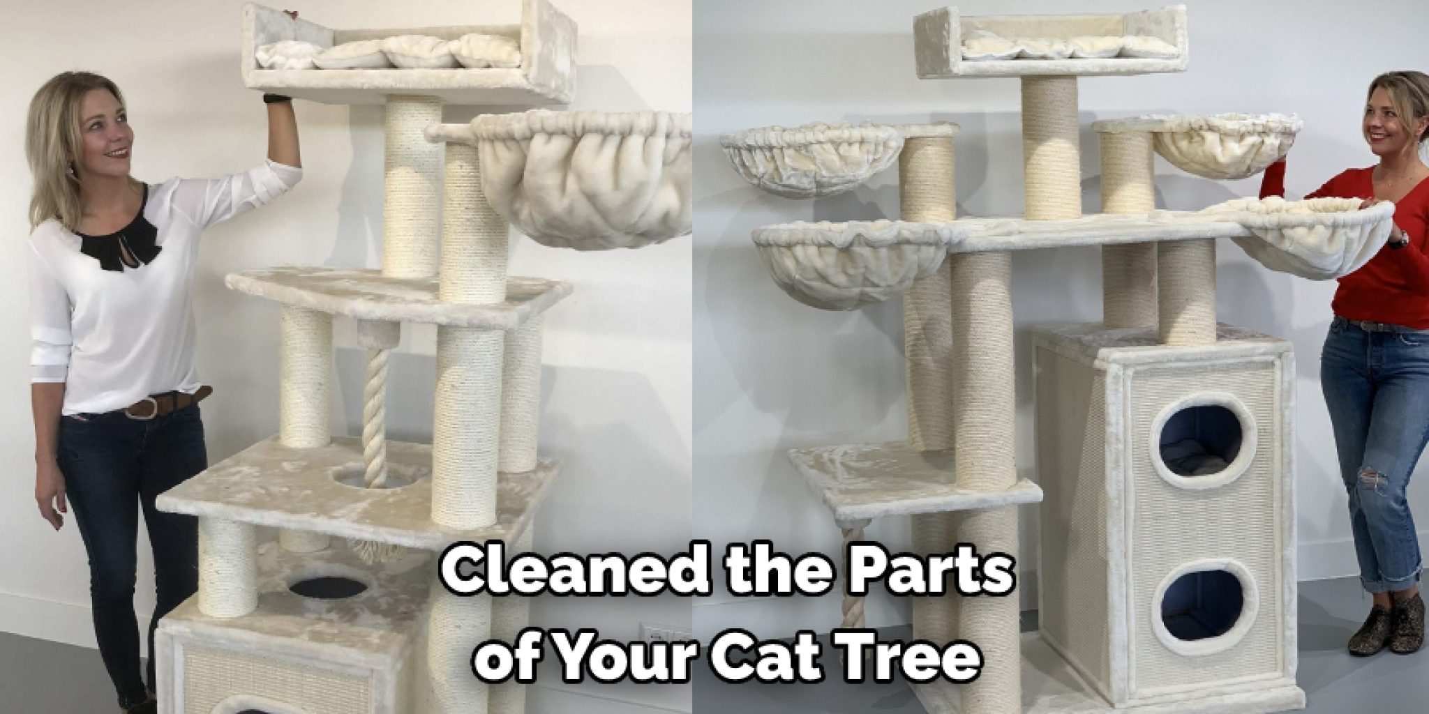 How to Disinfect Used Cat Tree Explained in 09 Steps