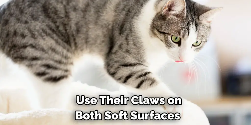 Use Their Claws on Both Soft Surfaces 
