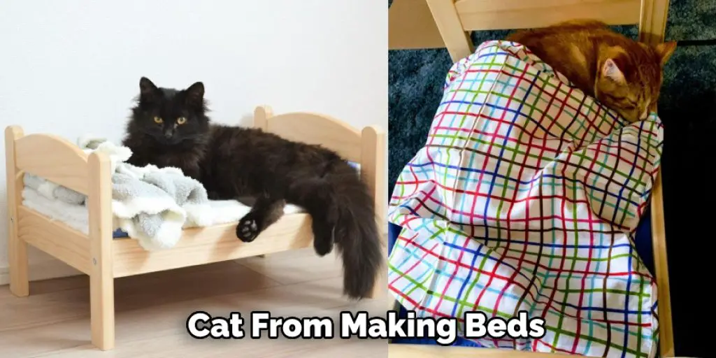 Cat From Making Beds 