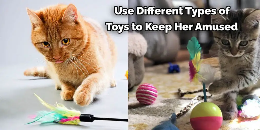  Use Different Types of  Toys to Keep Her Amused